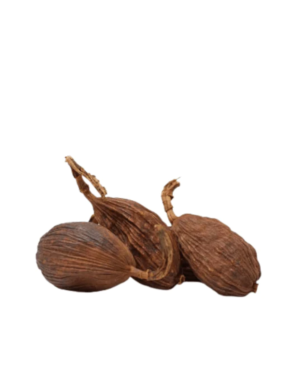 Muscade entière 1kg (草果)