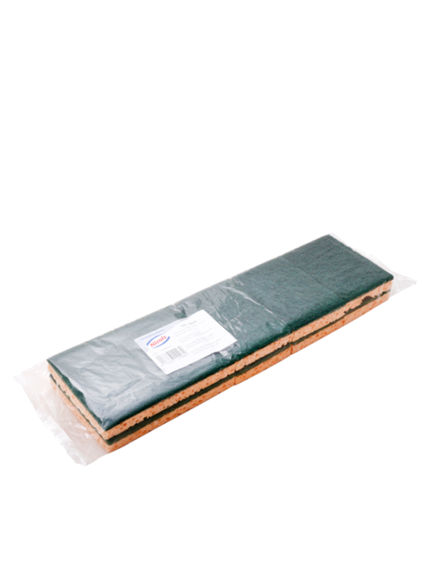 Eponge verte 10PCS (法国青色海绵块)