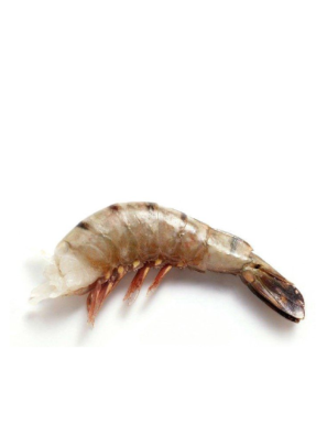 Queues de crevette BT ND 21/25 1.8KG 80% EBI (去头带壳黑虎虾)