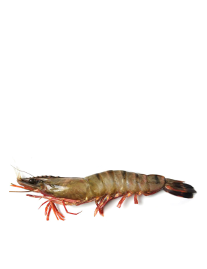 Gambas 13/15 800G (有头黑虎虾)