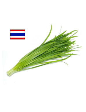 Feuille d'ail Thaï 200g (泰國韭菜)