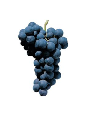 Raisin noir globe 1KG (特级黑葡萄)