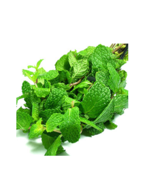 Menthe 5P/paquet (薄荷叶)