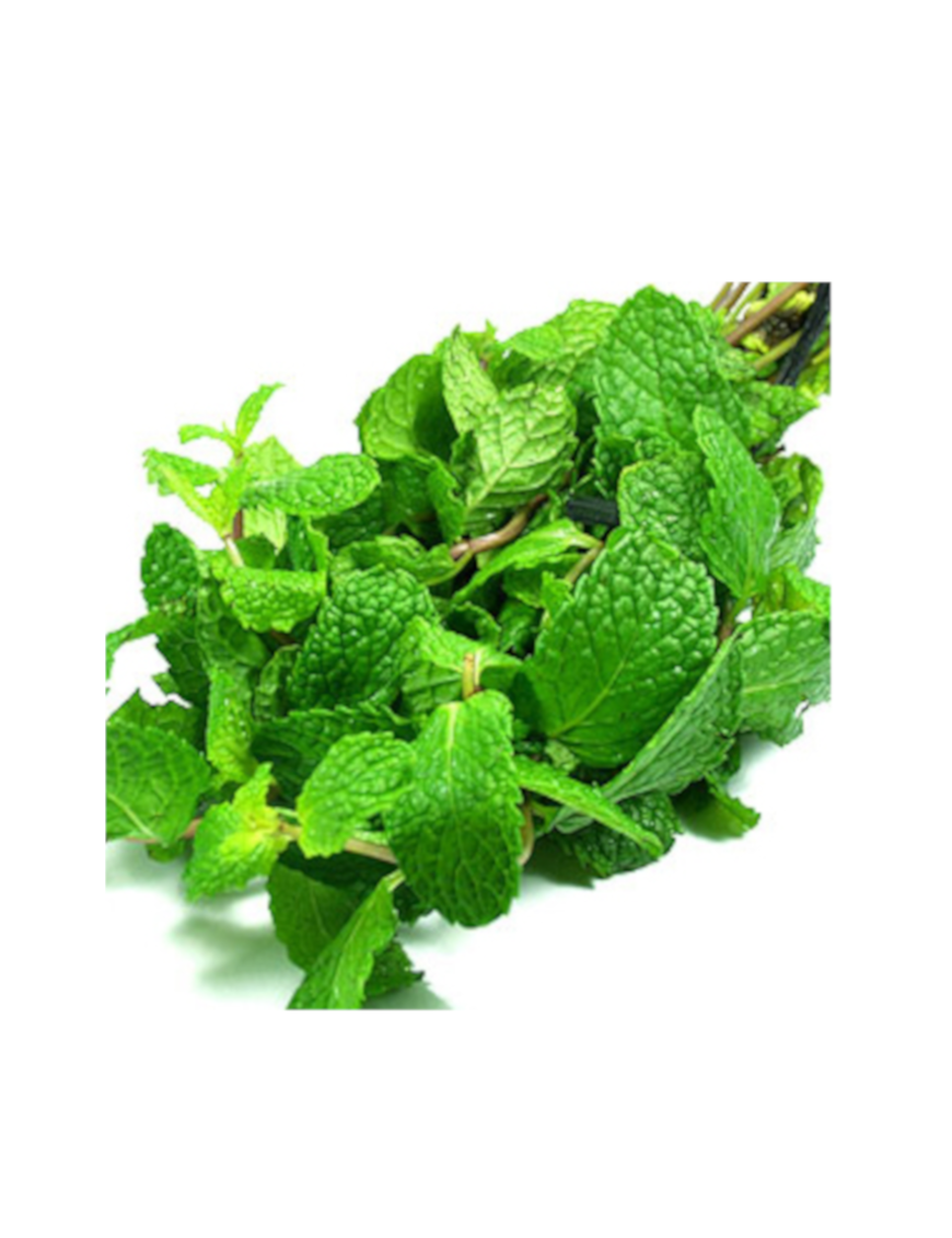 Menthe 5P/paquet (薄荷叶)