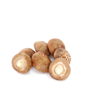 Champignon Shiitake 1kg (新鲜香菇)