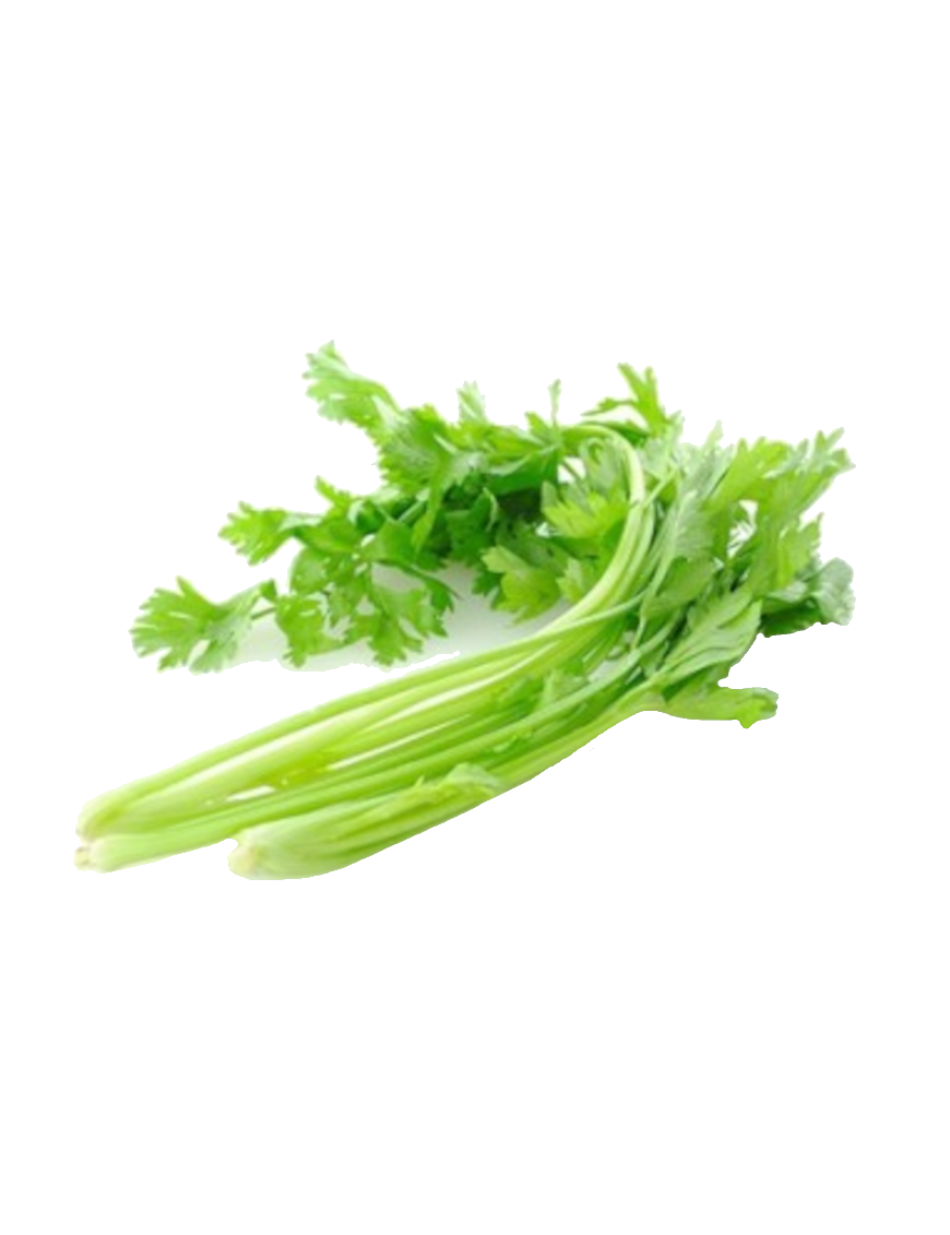 Céleri chinois 1KG (中国水芹)