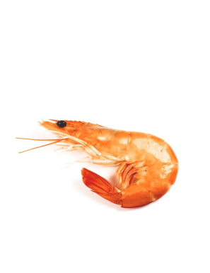 Gambas équateur 16/20 1KG (厄瓜多尔有头白虾)