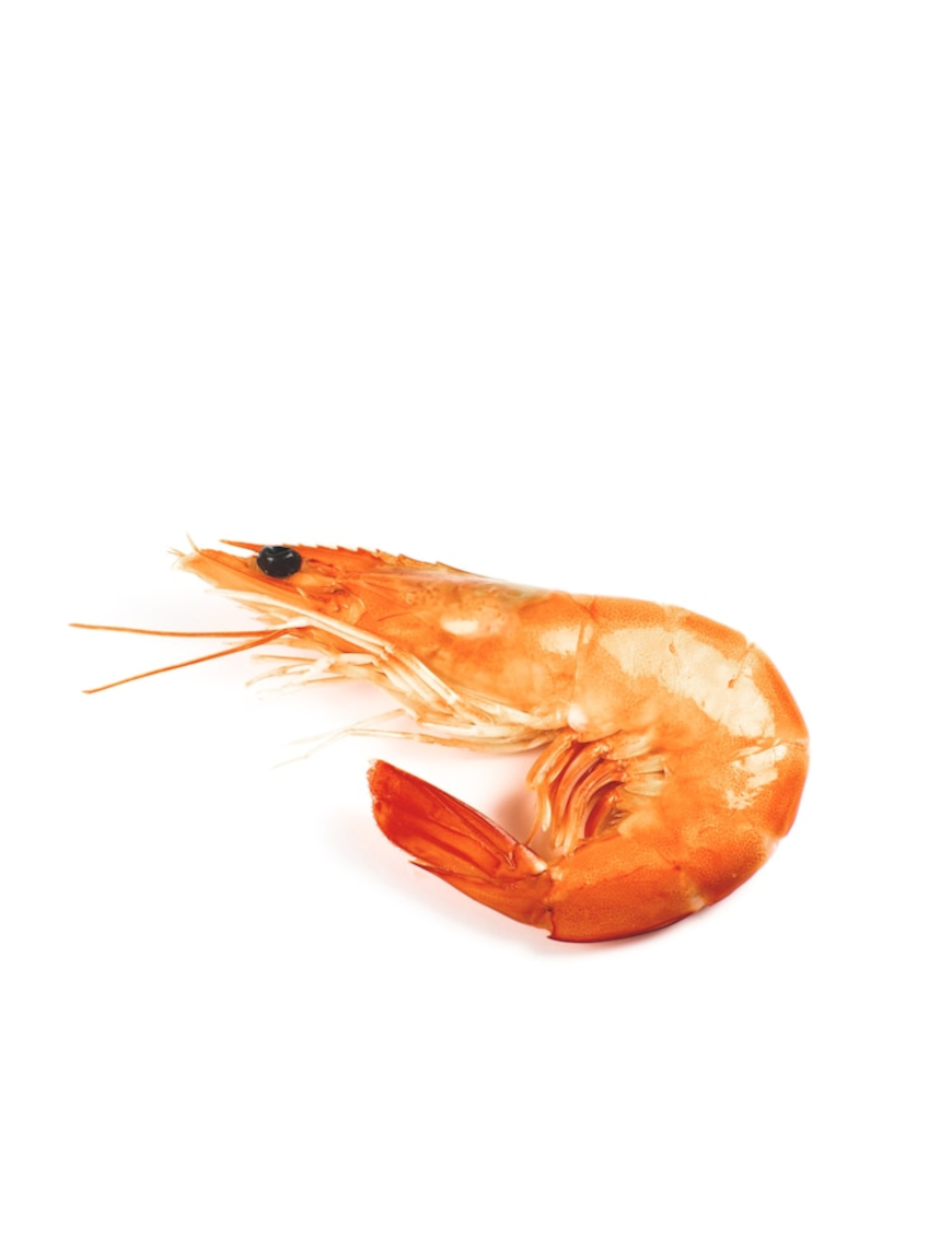 Gambas équateur 16/20 1KG (厄瓜多尔有头白虾)