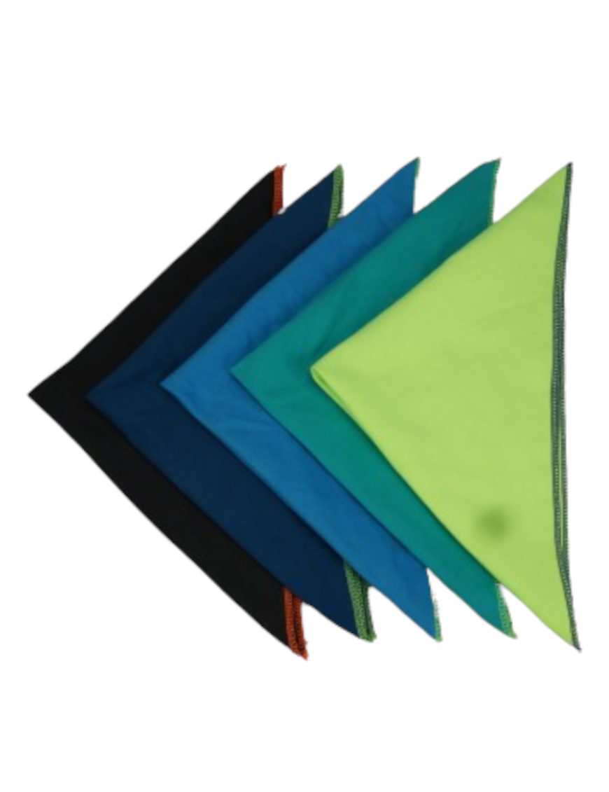 Torchon microfibre 30cm (毛巾)