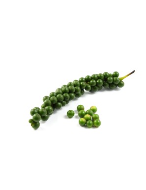 Poivre vert 100g (新鲜青胡椒)