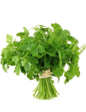 CORIANDRE  香菜（芫茜)