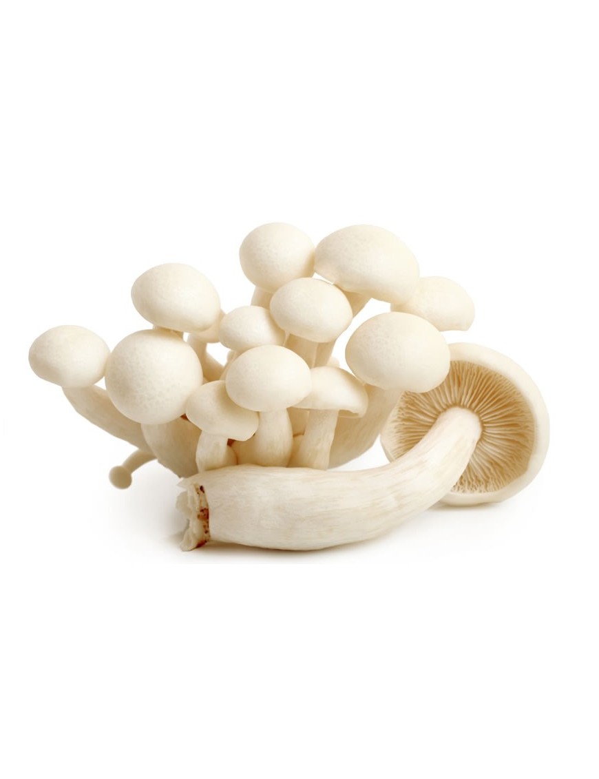 Champignon Shimeji blanc 150g (蟹味菇: 褐/白)