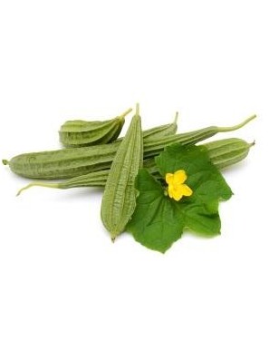 COURGE PIPONGAI / 非洲角瓜