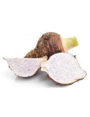 TARO FRANCE / 大芋头