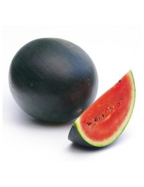 PASTEQUE NOIRE / 黑皮西瓜