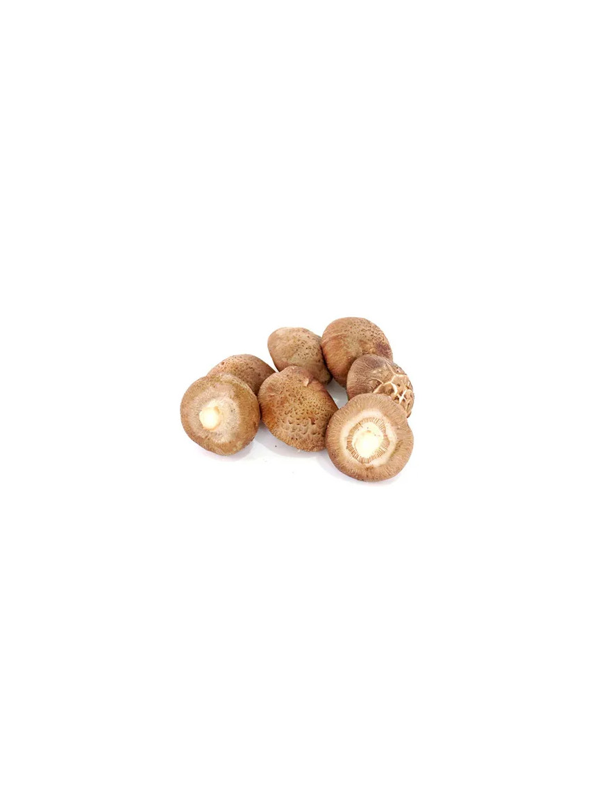 Champignon Shiitake 1kg (新鲜香菇)