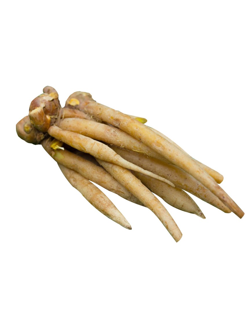 Galanga 150g (泰国手指姜)