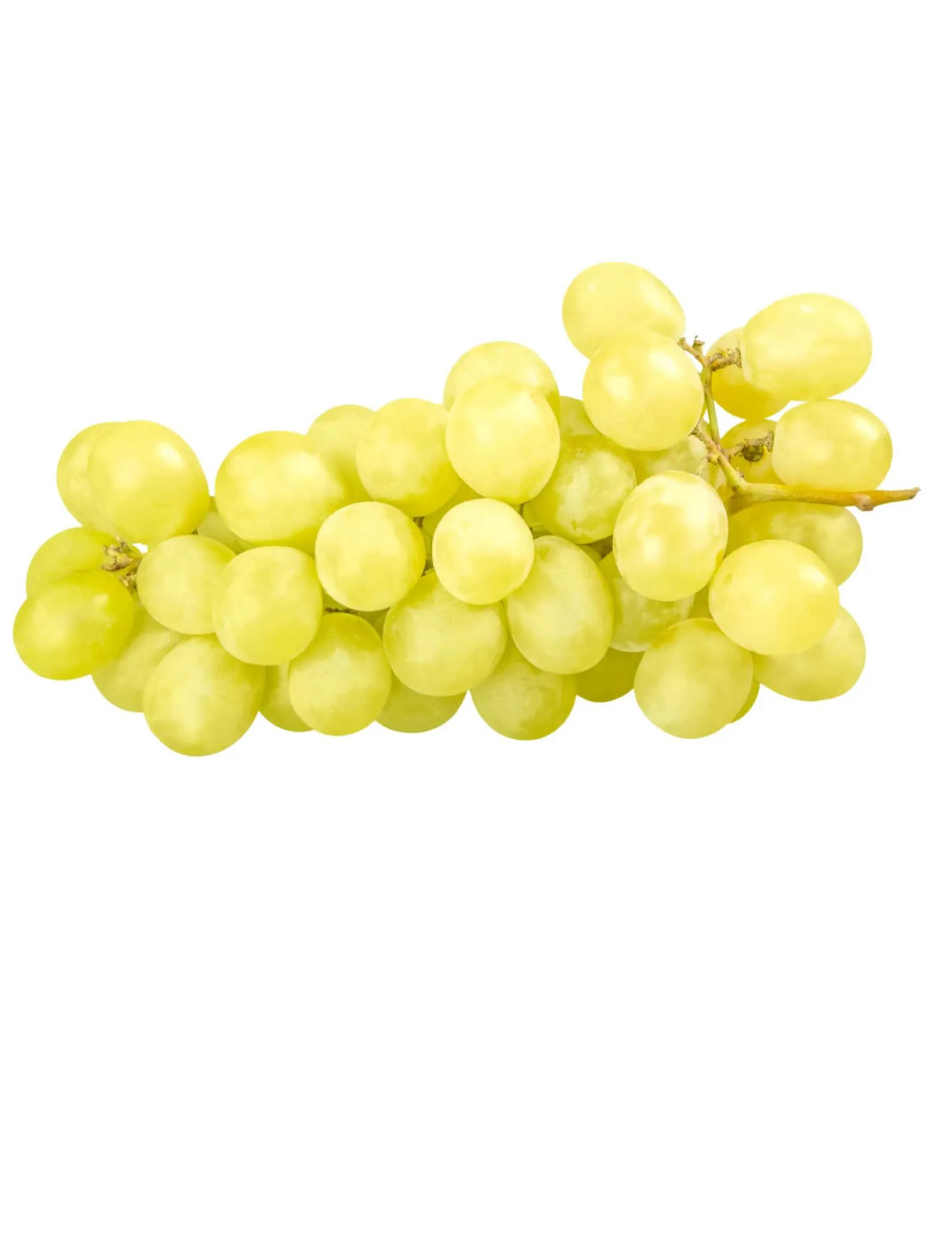 Raisin noir globe 1KG (特级黑葡萄)
