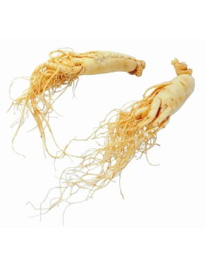 Ginseng coréen 25/60g 3P (新鲜人参)