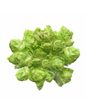 Légume WAWA 1KG (娃娃菜)