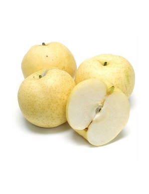 Poire Nashi 1KG (水晶梨)