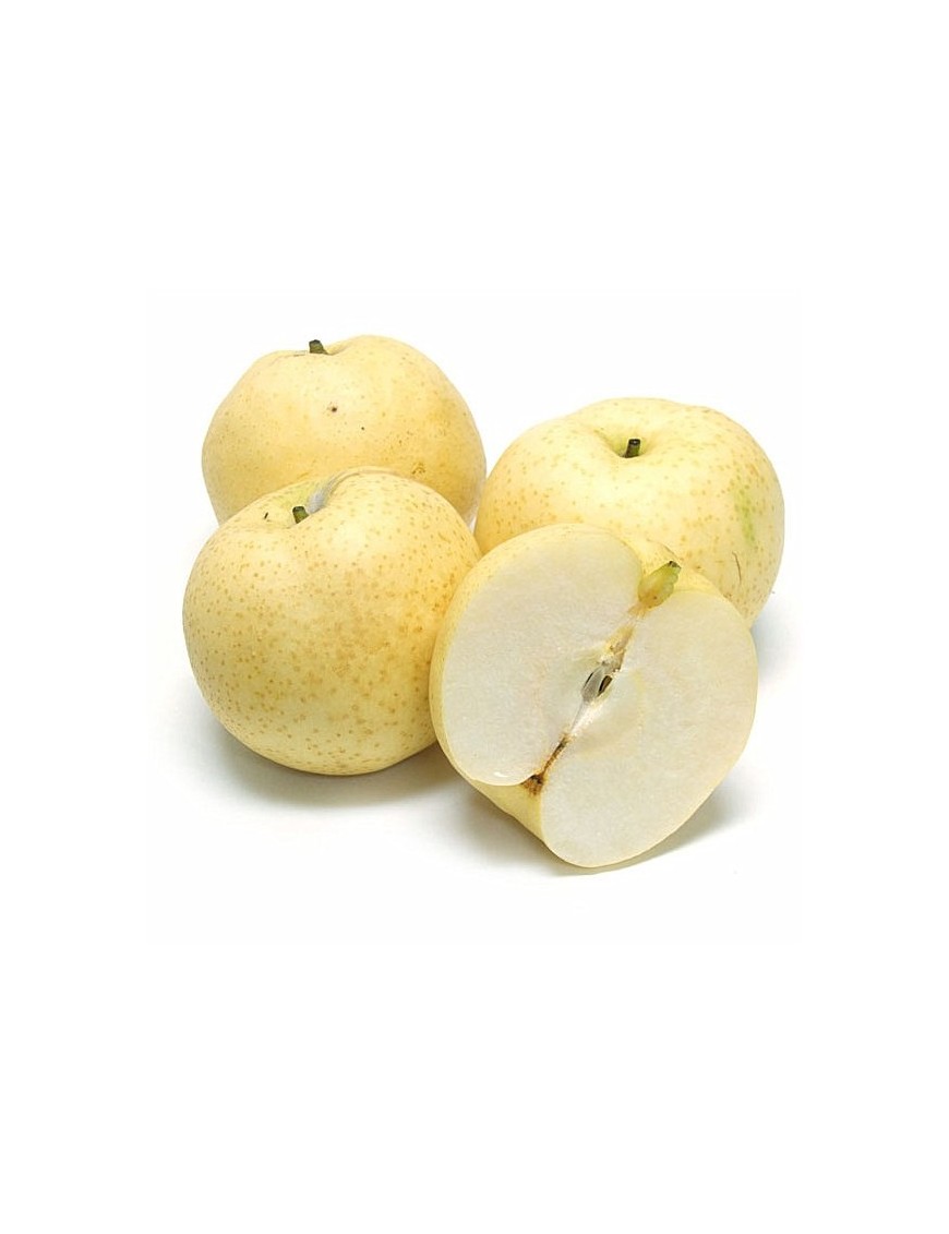 Poire Nashi 1KG (水晶梨)