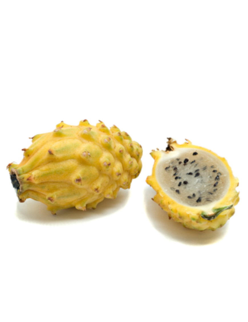 Fruit du dragon jaune 1KG (黄火龙果)