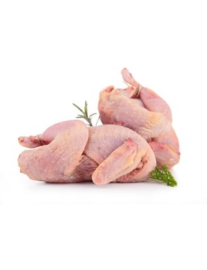 Coquelet AGR 1PC (特級小公雞)