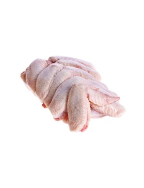 Ailes de poulet blanc 10KG/CT (新鲜白雞翅)