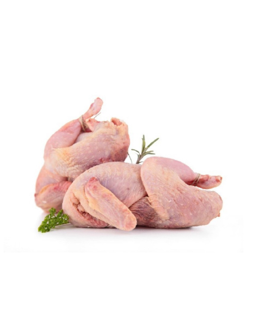 Caille 20PCS/carton (新鲜特级鹌鹑)