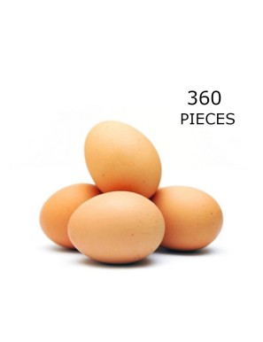 Oeufs frais 360PCS (新鲜鸡蛋)