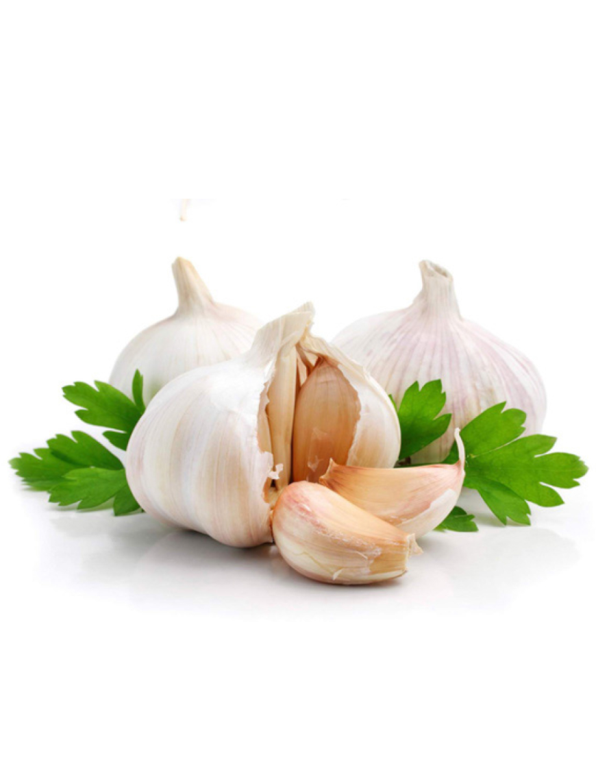 Ail blanc 1KG (S) ou 5KG (L) (特级白蒜頭)