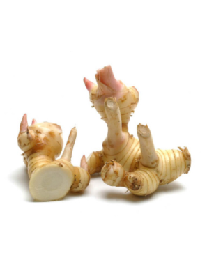 Galanga 100g (泰国鲜南姜)