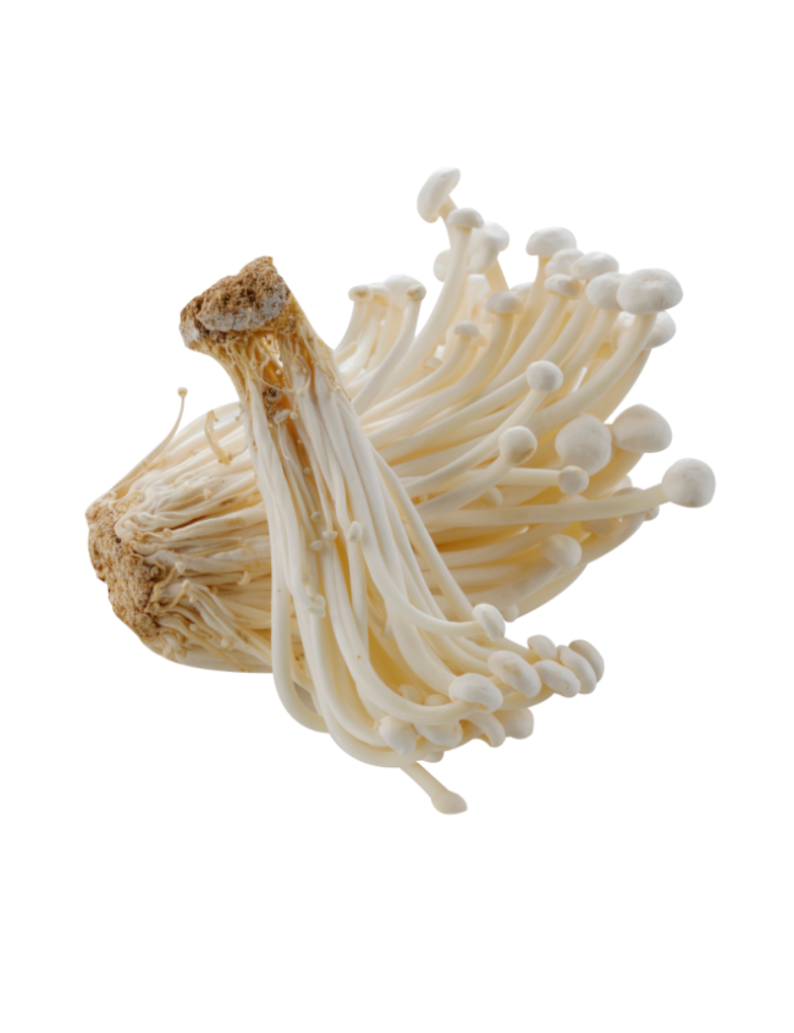 Champignons Enoki 100g (金针菇)