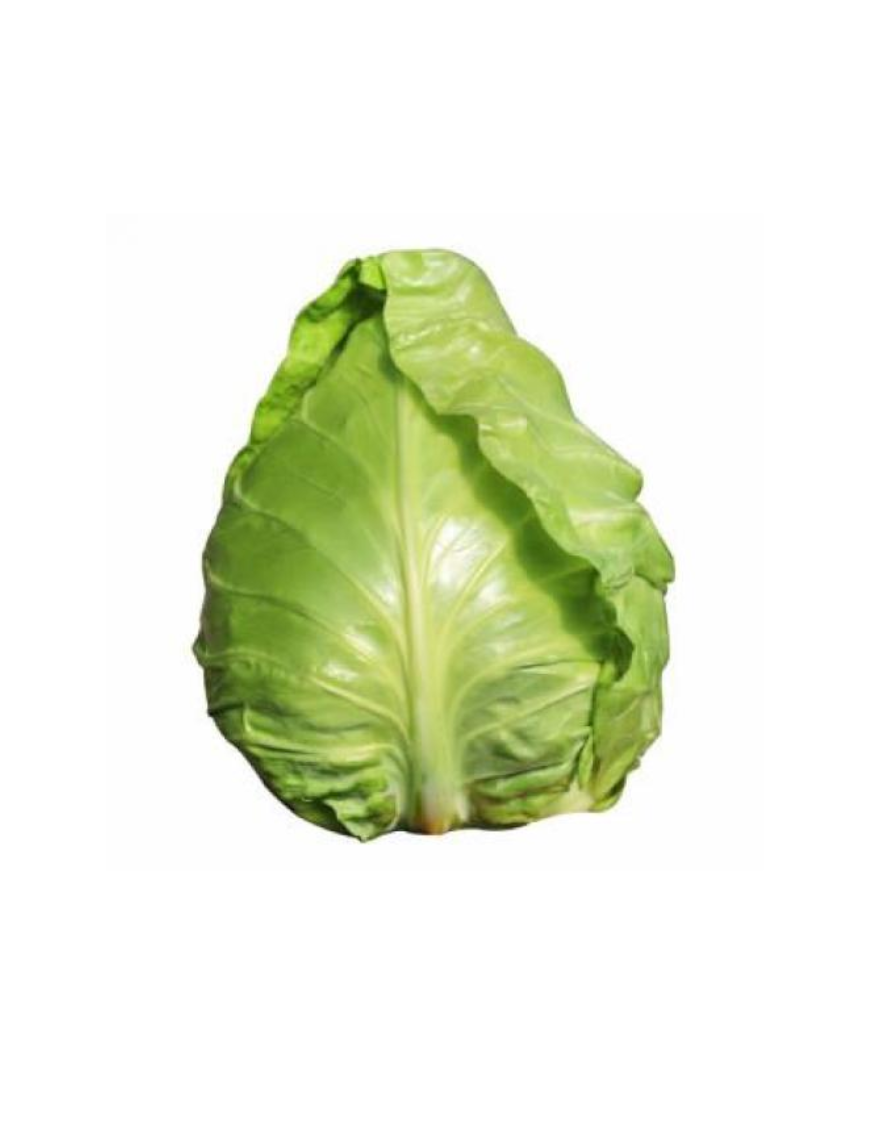 Chou pointu 1kg (牛角包菜)