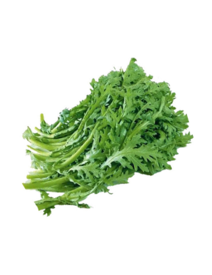 Feuilles de Chrysanthème Espagne 1KG (茼篙)