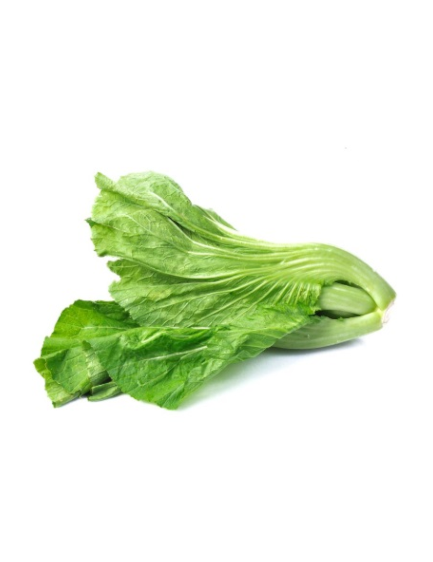 Cai Choi Espagne 1KG (西班牙芥菜)