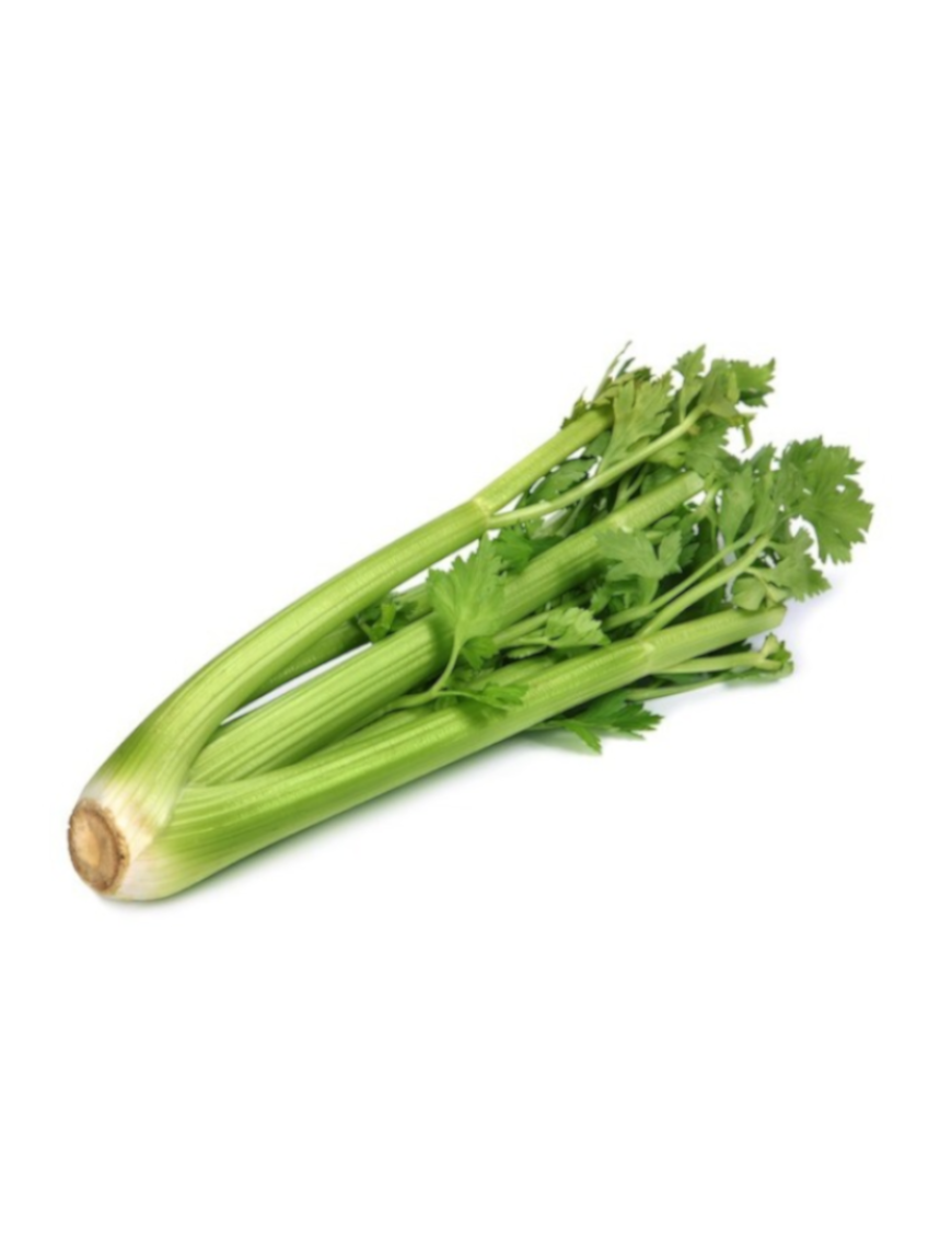 Céleri vert 1KG (法国青芹)